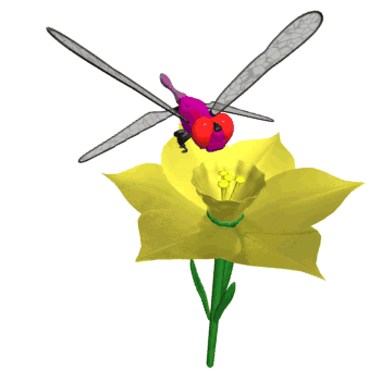 http://www.billionmore.com/preorder/00268/dragonfly_on_flower.gif